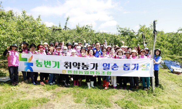 홍성농협, 사과 재배 농가 일손돕기 실시 대표 이미지