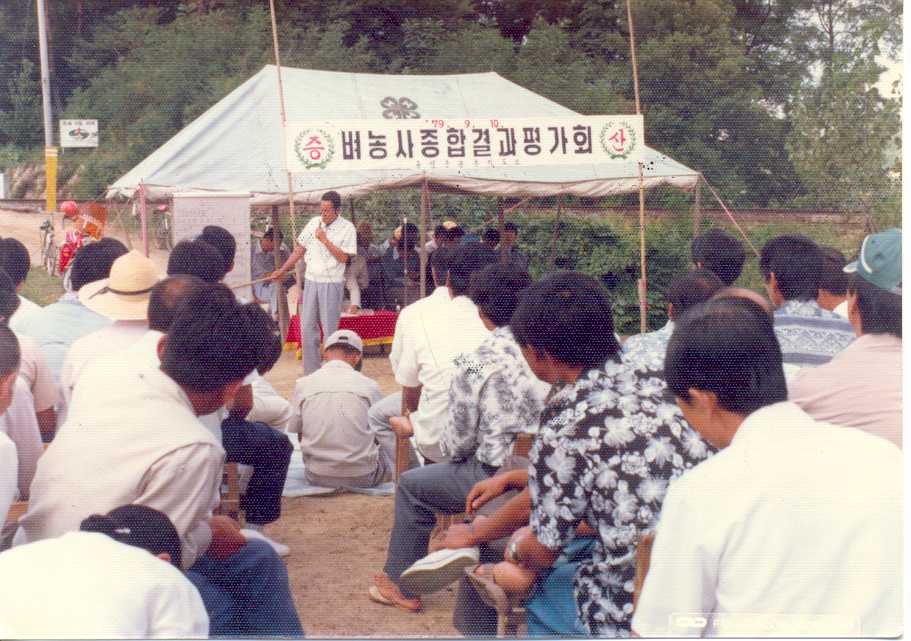 벼농사평가회(1979) 대표 이미지