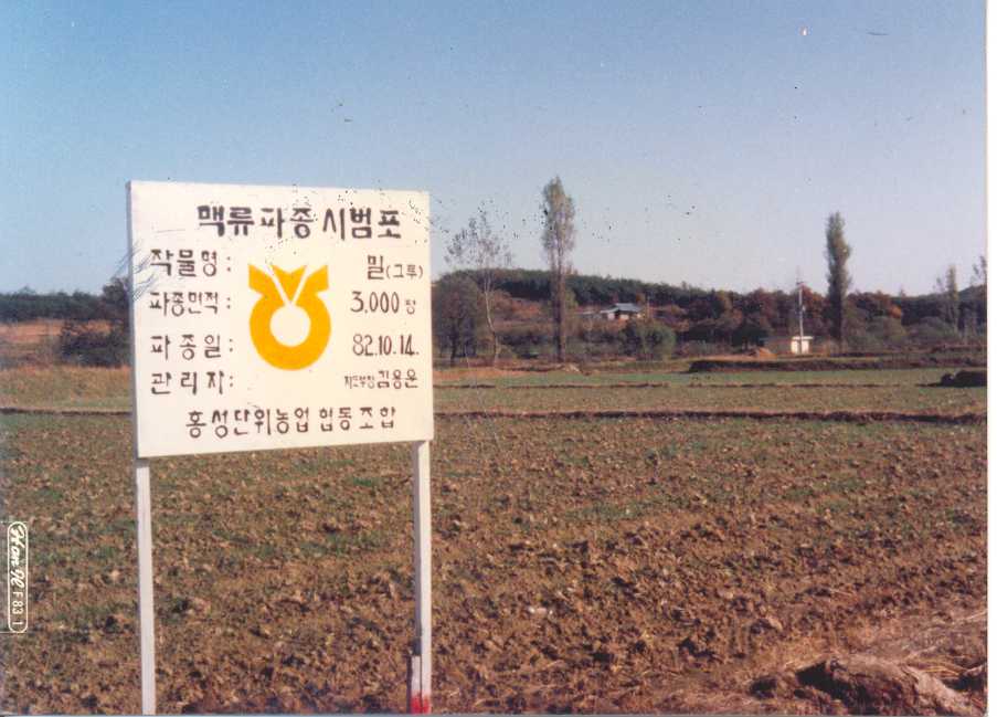 맥류시범포(1982) 대표 이미지