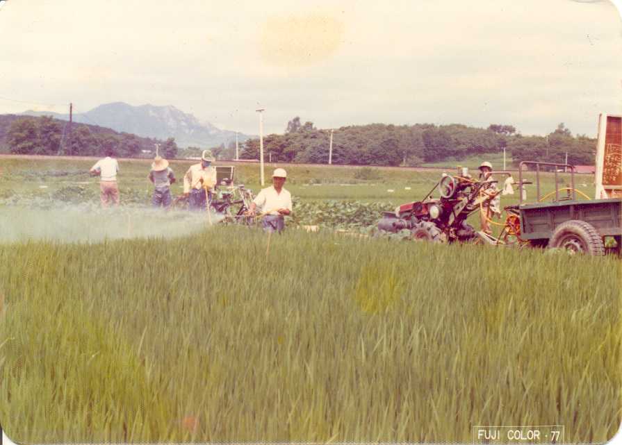 병충해방제(1978) 대표 이미지