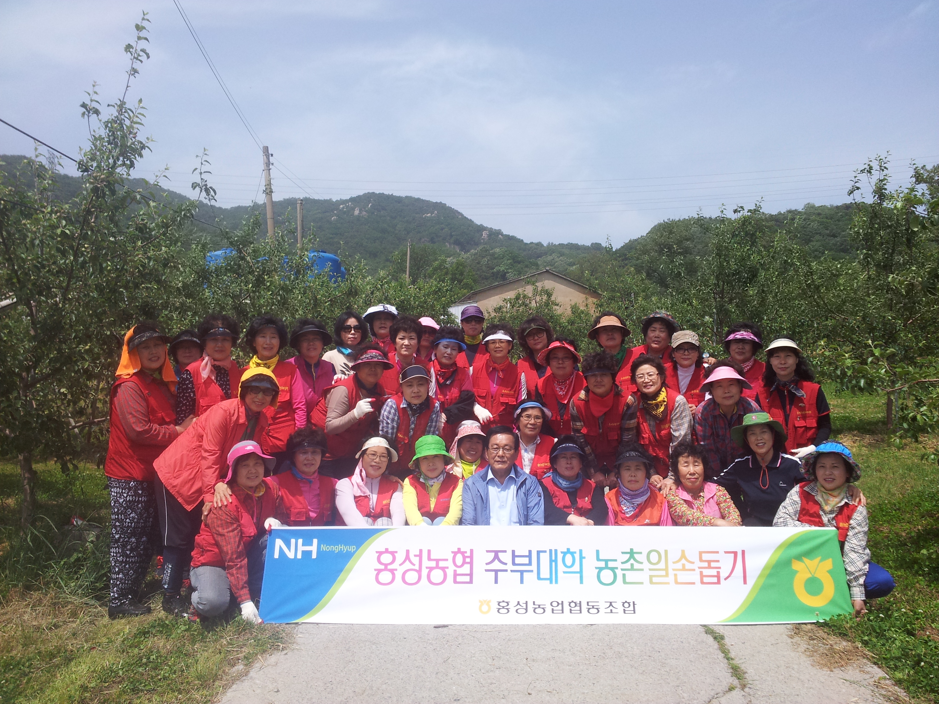 주부대학 농촌일손돕기(2014.5.27) 대표 이미지