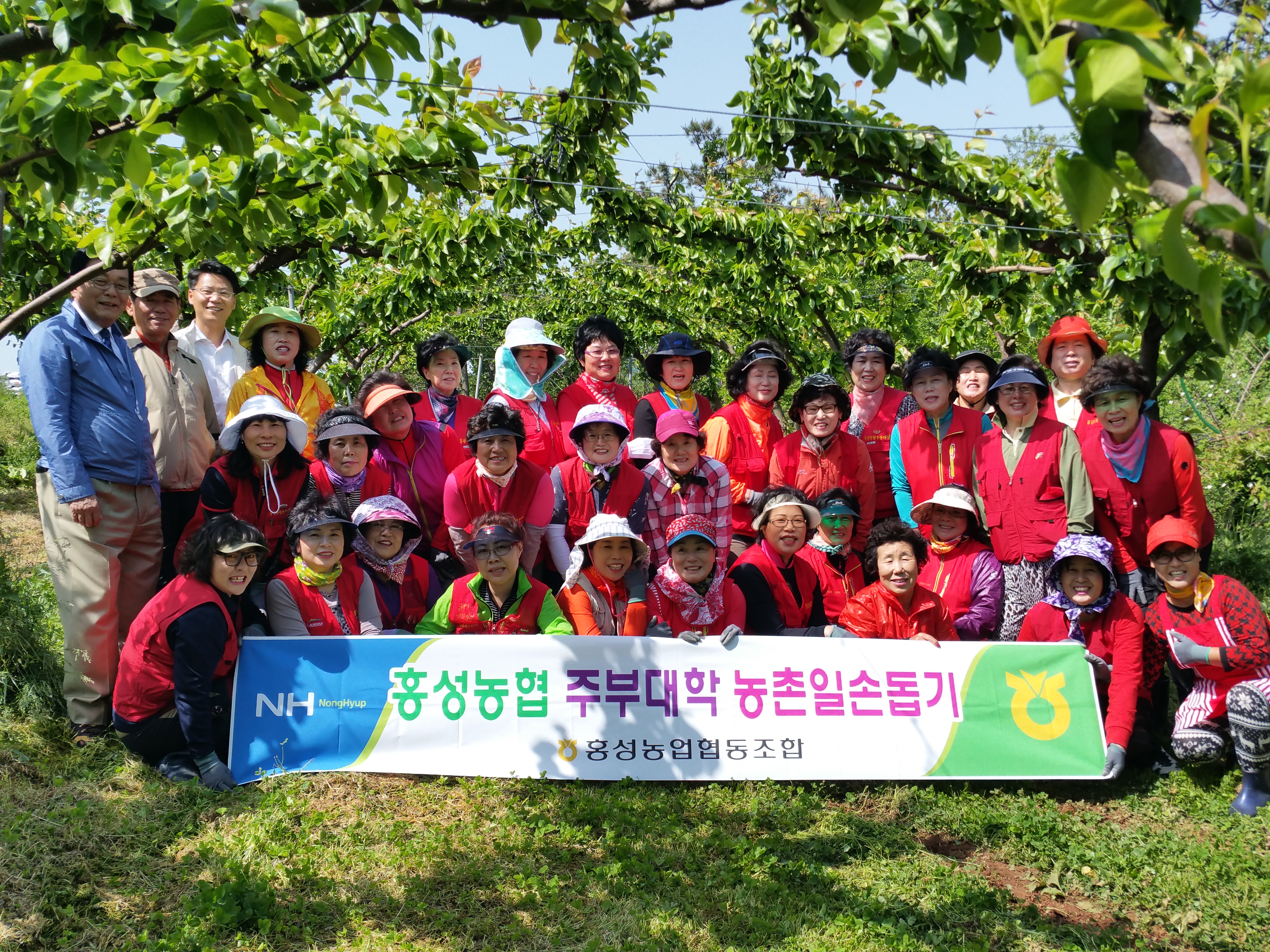 주부대학 농촌일손돕기 (2015. 5. 13) 대표 이미지