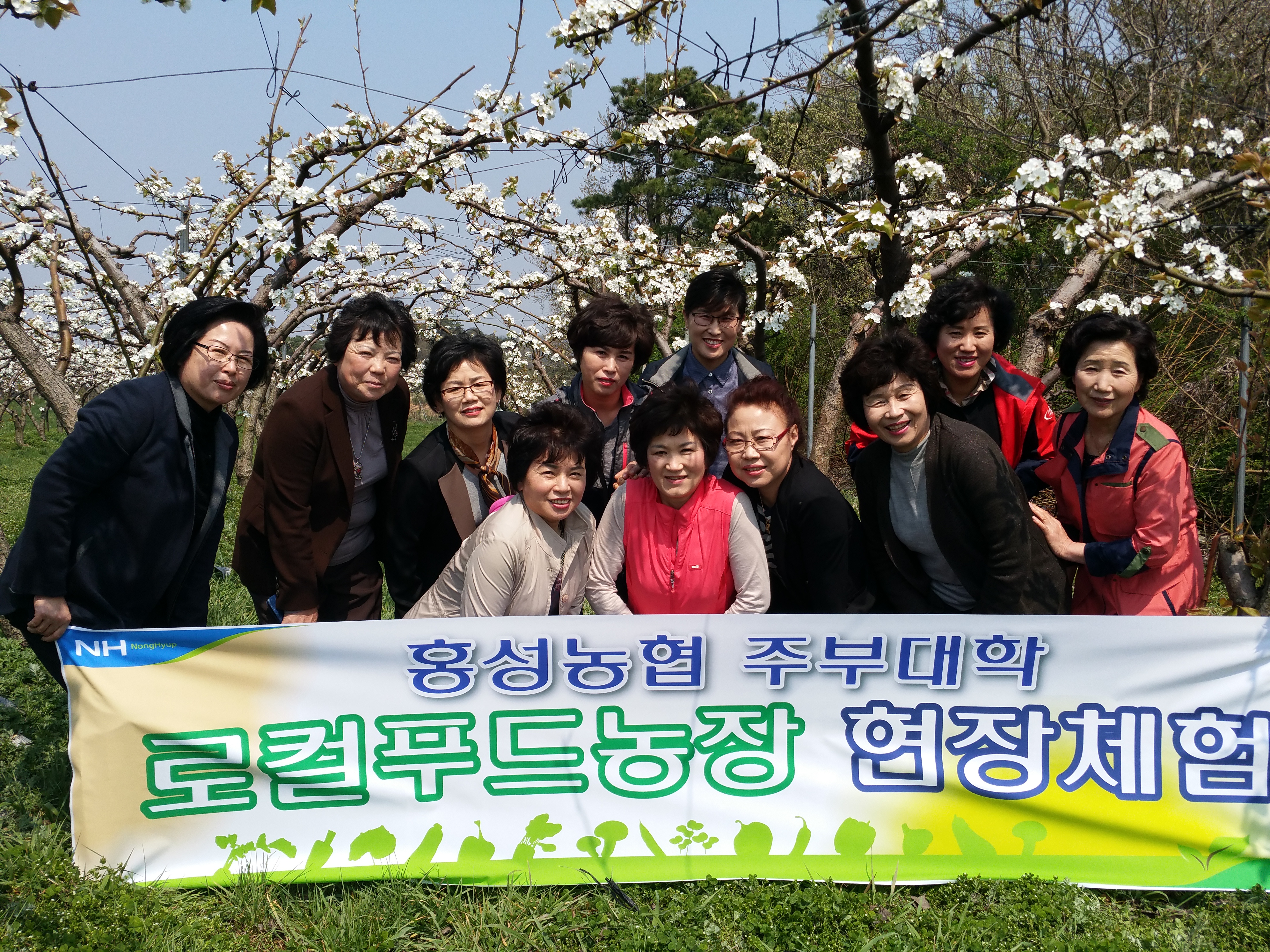 주부대학 로컬푸드농장 현장체험(2015. 4. 22) 대표 이미지