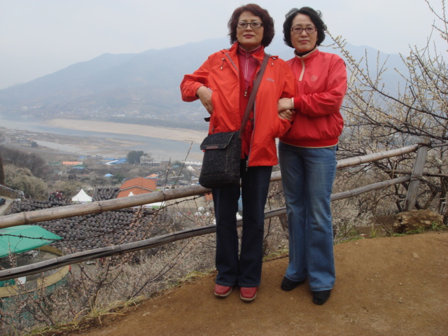 장미반입니다. 대표 이미지
