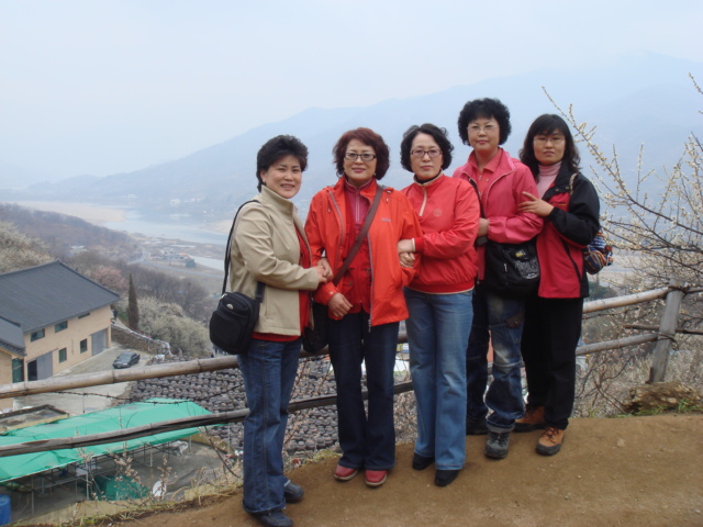 장미반과 국화반 대표 이미지