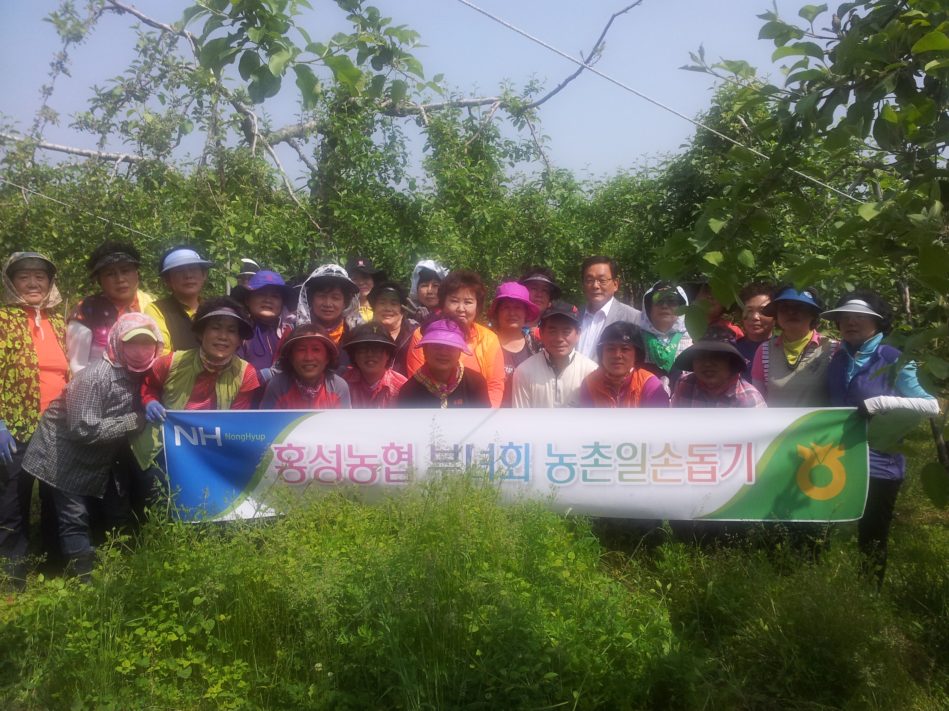 부녀회 일손돕기(2013. 5. 23) 대표 이미지